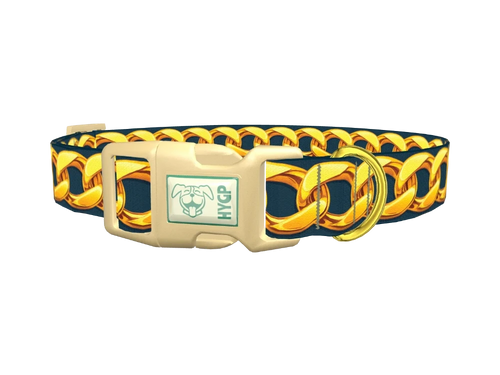 Gold Chain Link Dog Collar