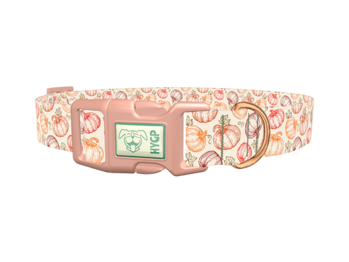 Fall Pumpkin Outline Dog Collar