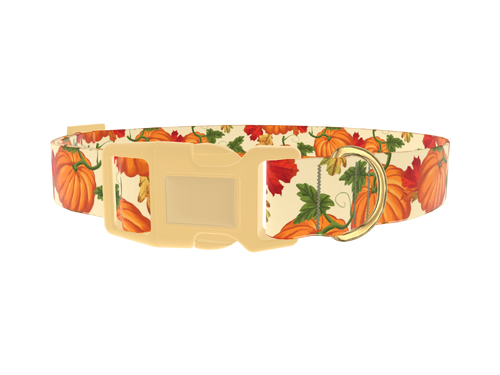 Autumn Pumpkin Dog Collar