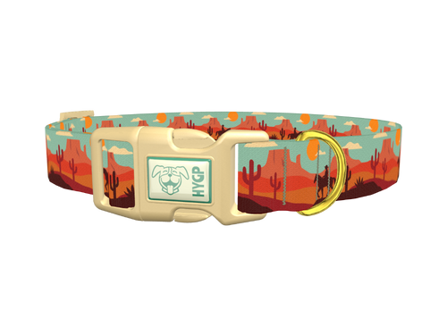Southwest Desert Dog Collar