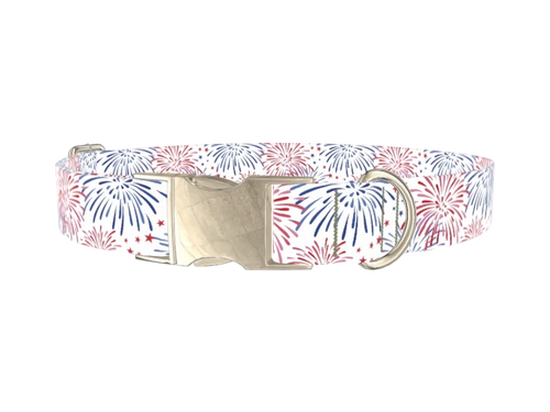Fireworks Starburst Dog Collar
