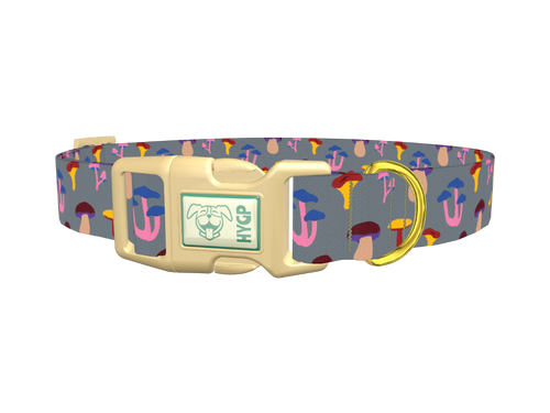Colorful Mushroom Dog Collar