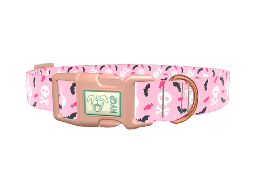 Halloween Skulls and Bats Dog Collar