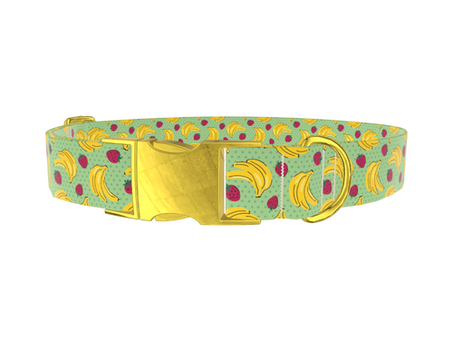 Fruit Pattern Dog Collar