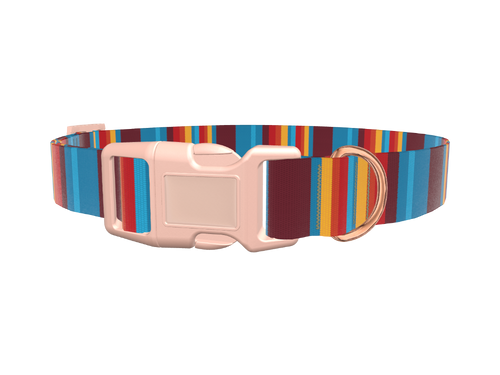 Colorful Stripe Dog Collar