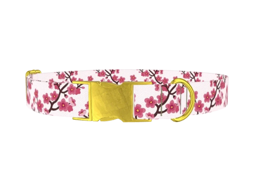 Japanese10_CherryBlossom