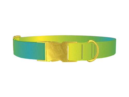 Gradient4_yellowBlue