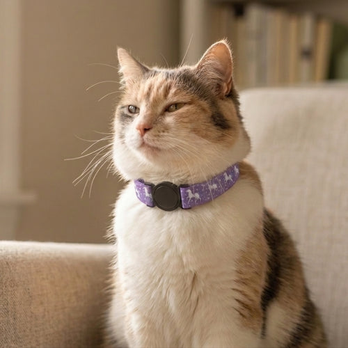 Cat Collar