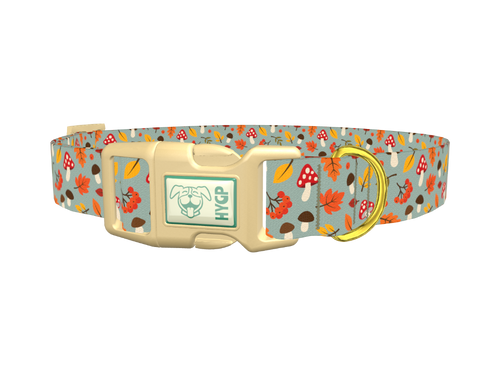 Autumn Leaves Mushroom Dog Collar