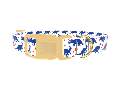 Dinosaur Heart Dog Collar