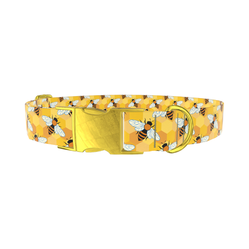 Bees6_Honeycombs