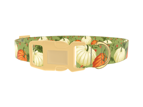Pumpkin Floral Dog Collar