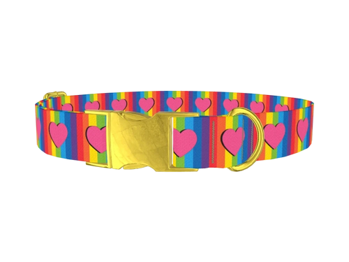 Rainbow Heart Dog Collar