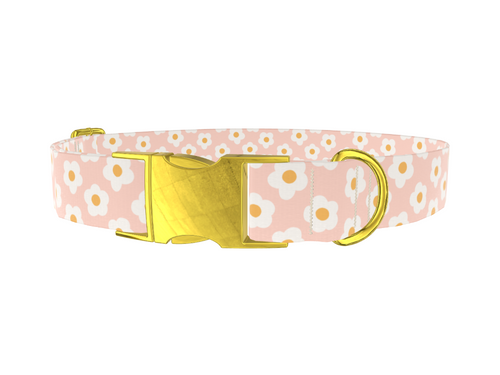 Peach Daisy Pattern Dog Collar