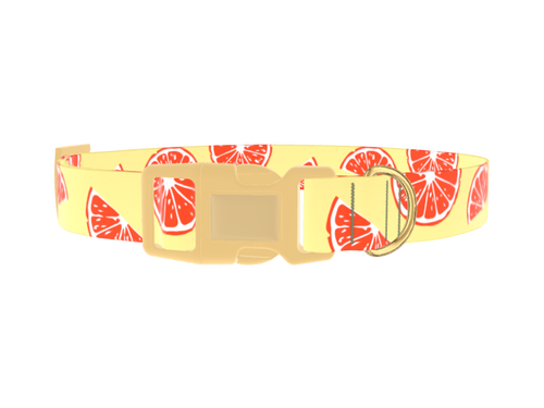Citrus Fruit Dog Collar