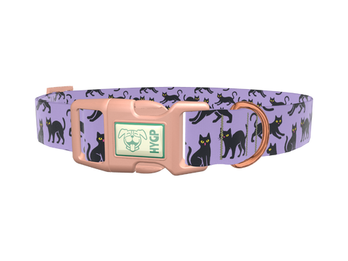 Purple Black Cat Halloween Dog Collar