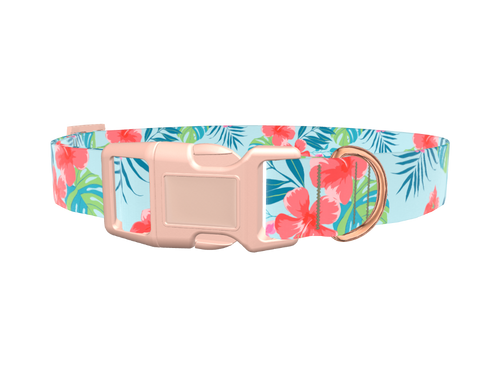 Multi Floral Hibiscus Dog Collar