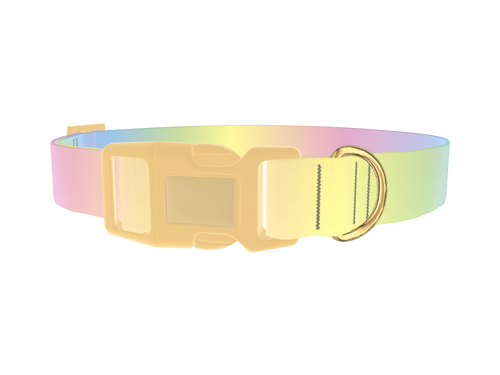 Pastel Gradient Dog Collar