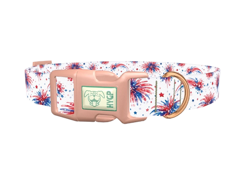 Patriotic Fireworks Dog Collar