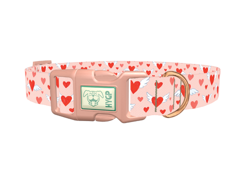 Flying Heart Dog Collar