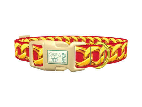 Bold Gold Chain Dog Collar