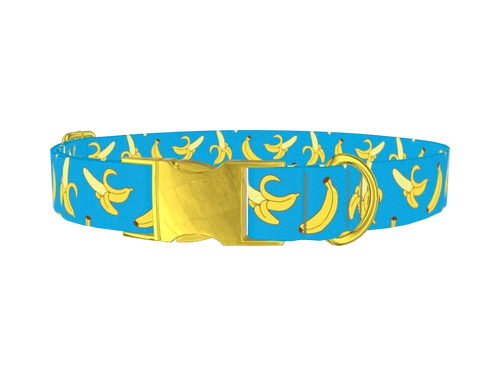 Banana Fruit Dog Collar