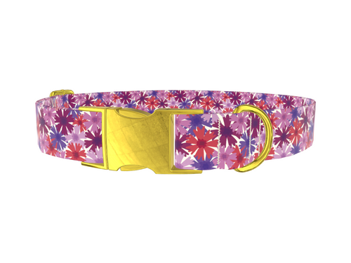 Colorful Cornflower Dog Collar