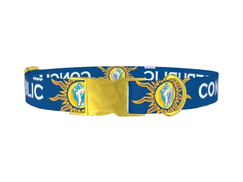 FLAGS_ConchRepublicStarsBlue