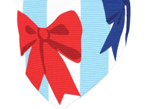 Patriotic Bow Dog Collar