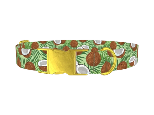 FOOD_CoconutGreen