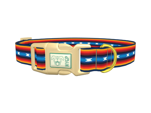 Rainbow Geometric Dog Collar