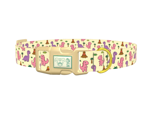 Cartoon Dino Volcano Dog Collar