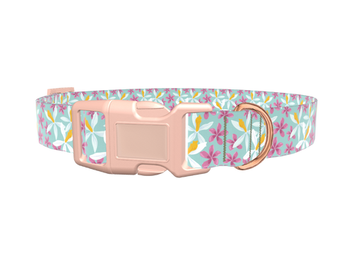 Tropical Orchid Dog Collar