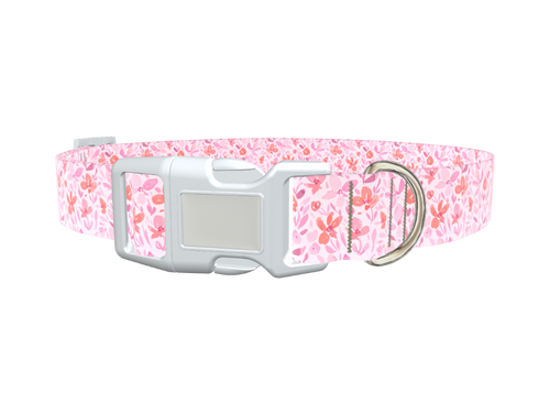 Floral Watercolor Dog Collar