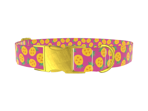 Pineapple Fruit Dog Collar