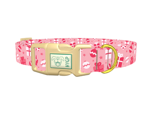 Christmas Gift Dog Collar