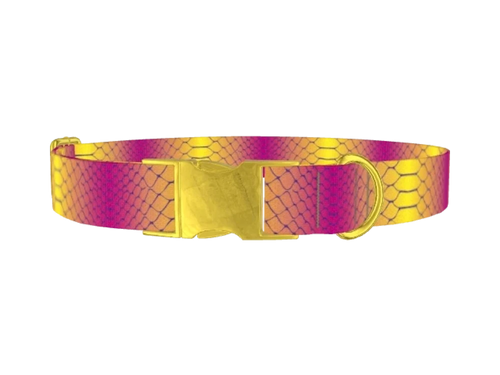 SNAKE_COLORFUL