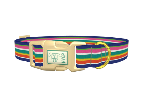 Rainbow Stripes Dog Collar