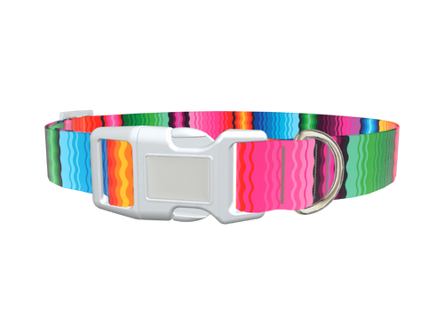 Wavy Rainbow Stripe Dog Collar