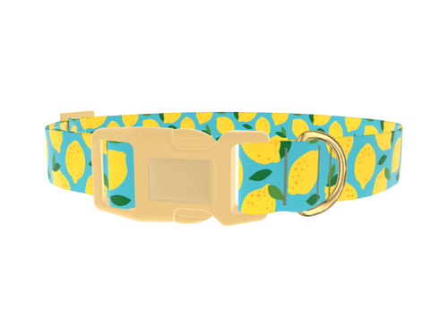 Blue Lemon Pattern Dog Collar