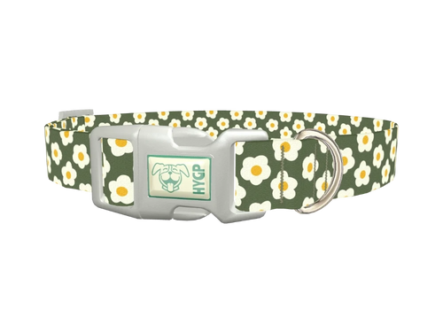 Floral Daisy Dog Collar