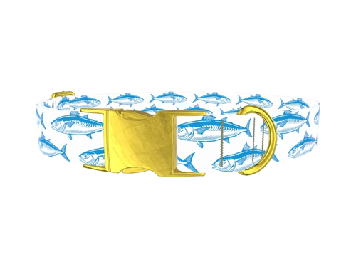 Ocean Fish Dog Collar