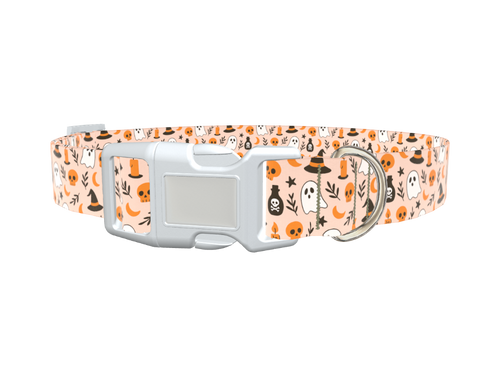 Spooky Potion Halloween Dog Collar