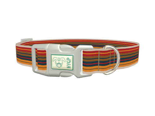 Autumn Stripes Dog Collar