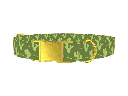 WESTERN4_Cactus1