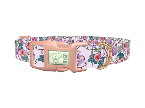 Floral Fig Dog Collar