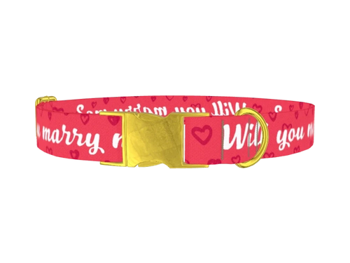 PHRASES_WillYouMarryMePink