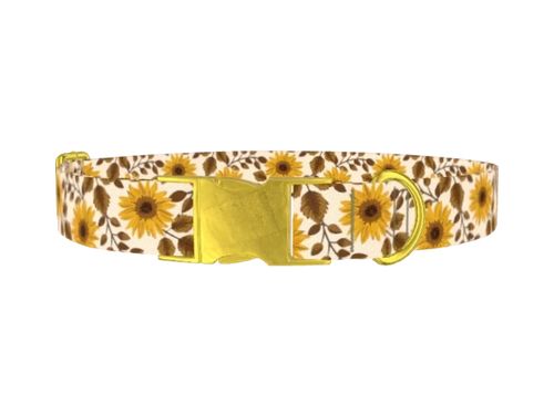 SUNFLOWER_4