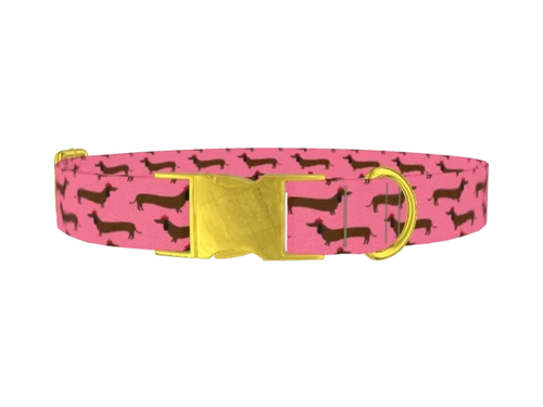 DOGs_DachshundPink