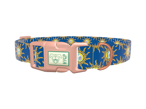 Conch Shell Sunburst Dog Collar